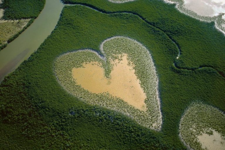 Federation International Sells Yann Arthus Bertrand’s ‘Nature’ To ZDF, Ceska TV And Sets Prestige Screening At Unifrance Le Havre Showcase (EXCLUSIVE)