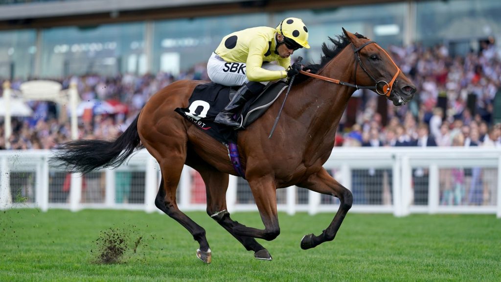 Today On Sky Sports Racing: Rosallion Faces Henri Matisse In Moulin Showdown