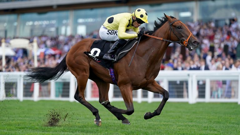 Today On Sky Sports Racing: Rosallion Faces Henri Matisse In Moulin Showdown