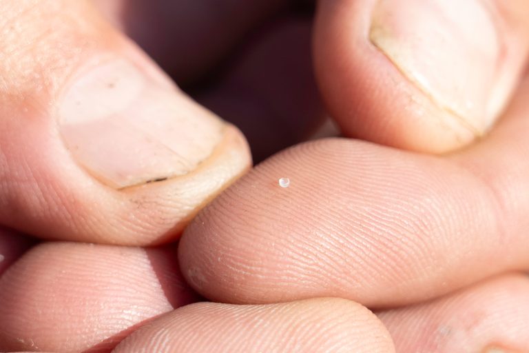 Pennsylvania Plastics Pollution Settlement Could Set A National Precedent For Control Of Pellets