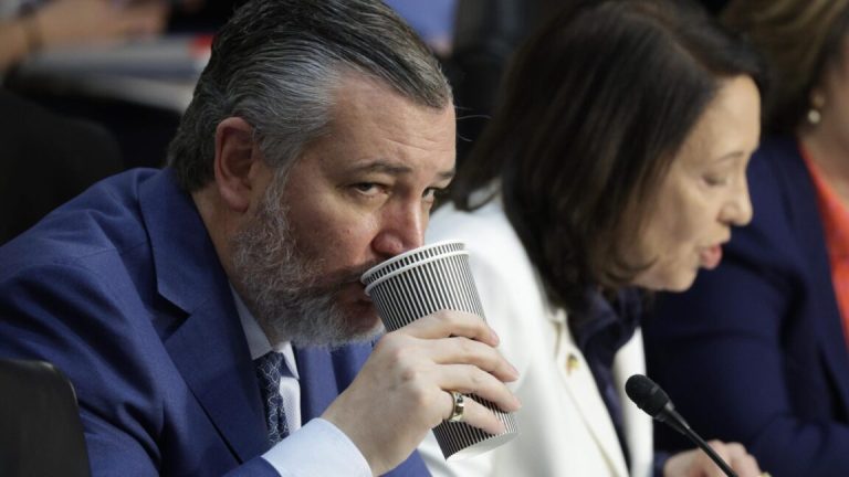 FCC Chair Teams Up With Ted Cruz To Block Wi Fi Hotspots For Schoolkids