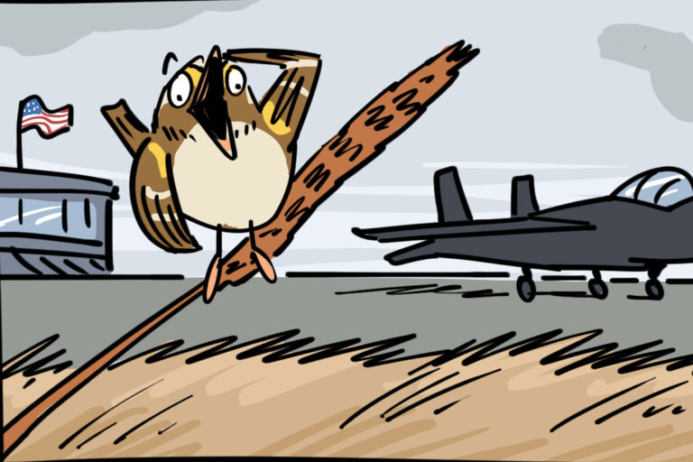 Sparrow Top Gun (cartoon)